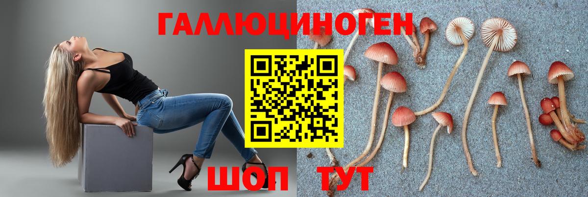 Псилоцибиновые грибы GOLDEN TEACHER Бахчисарай