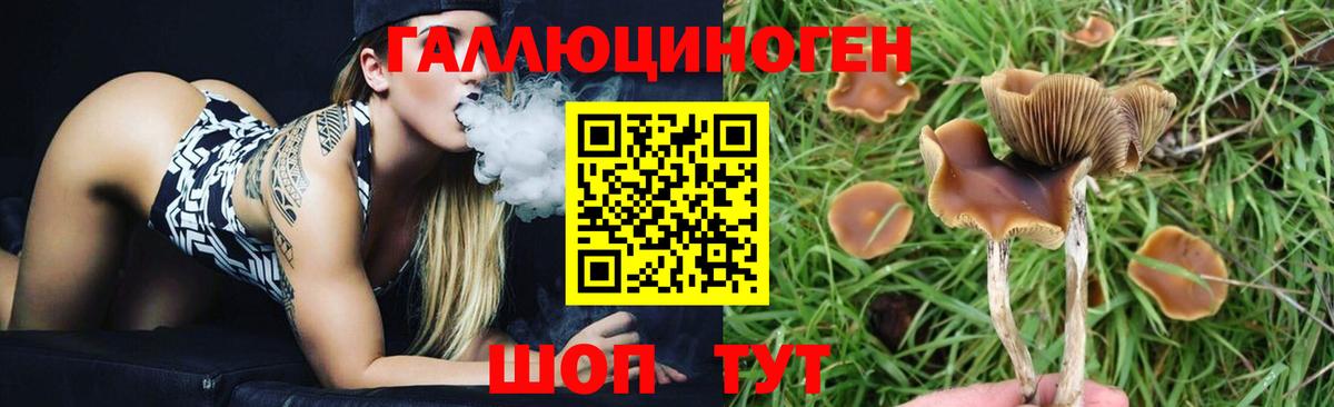 Псилоцибиновые грибы Magic Shrooms  Вход с VPN  Бахчисарай  Галлюциногенные грибы мухоморы 